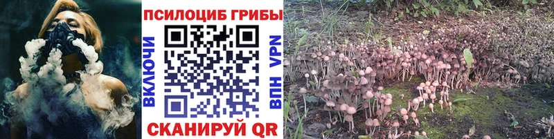 где купить наркоту  Остров  Галлюциногенные грибы мицелий 